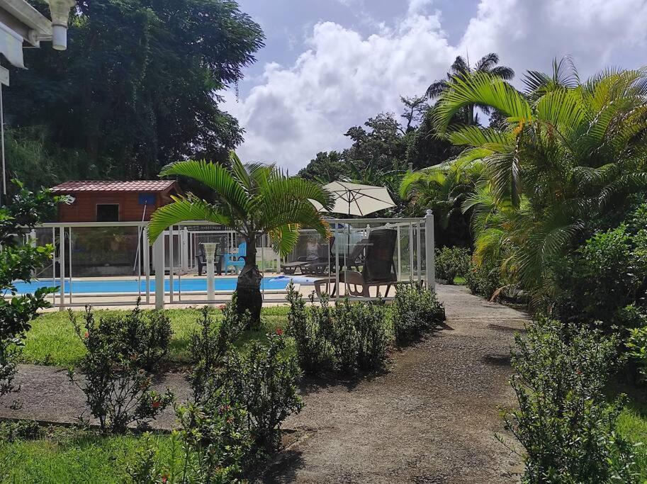 Le Tri Haut De Bellevue - Bungalow Heliconia Pointe-Noire Kültér fotó
